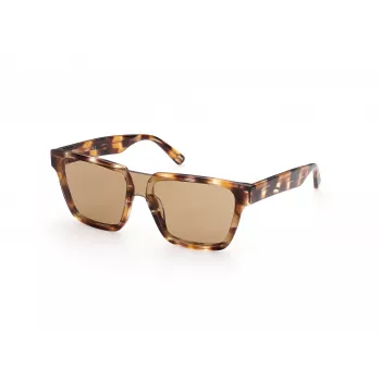 WEB EYEWEAR MAN WE0314-0041F saulesbrilles Havana acetāta rāmis Brūns gradienta stikls 54-19-145
