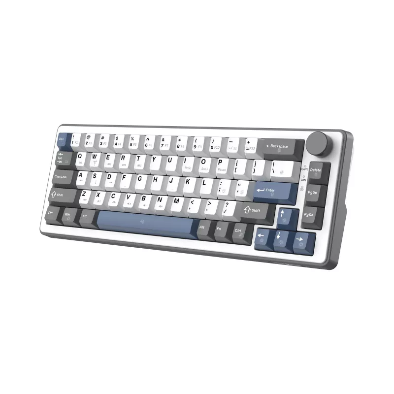 White Shark EXCALIBUR M mehāniskā tastatūra (GK-009251) ar Outemu Blue slēdžiem, RGB apgaismojumu, US izkārtojumu, balta