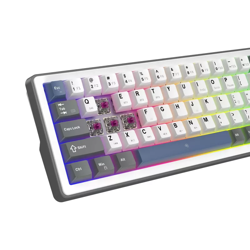 White Shark EXCALIBUR M mehāniskā tastatūra (GK-009251) ar Outemu Blue slēdžiem, RGB apgaismojumu, US izkārtojumu, balta