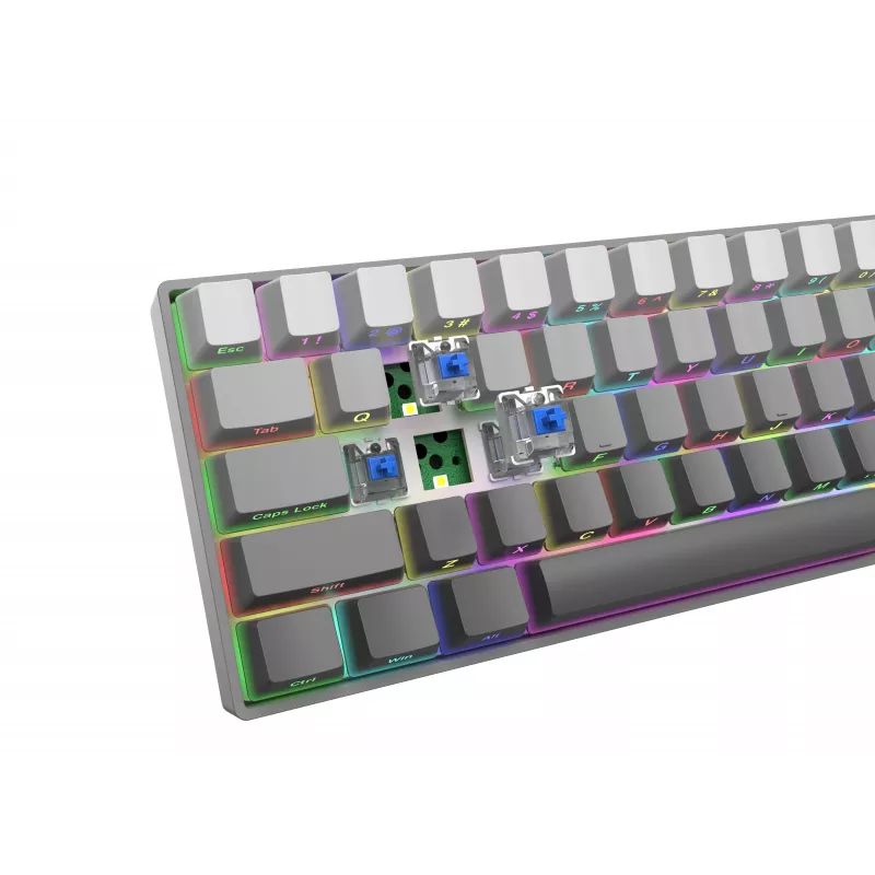 White Shark Nunchaku mehāniskā spēļu tastatūra TKL, Grey, Outemu Blue slēdži, RGB Hot-Swap, vadu USB