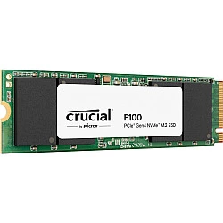 SSD diskas E100 480GB M.2 NVMe 2280 PCIe 4.0
