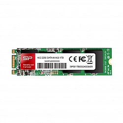 Vidinis SSD Silicon Power A55 1TB M.2 2280 SATA III