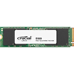 SSD diskas E100 480GB M.2 NVMe 2280 PCIe 4.0