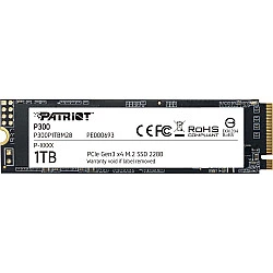 SSD diskas 1TB P300 M.2 PCIe 2280, 2100MB/s, 1650MB/s