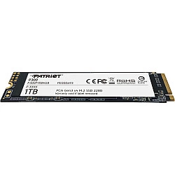 SSD diskas 1TB P300 M.2 PCIe 2280, 2100MB/s, 1650MB/s
