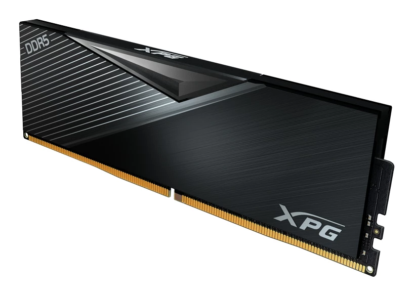 DIMM 16 GB DDR5-6000 , Arbeitsspeicher schwarz