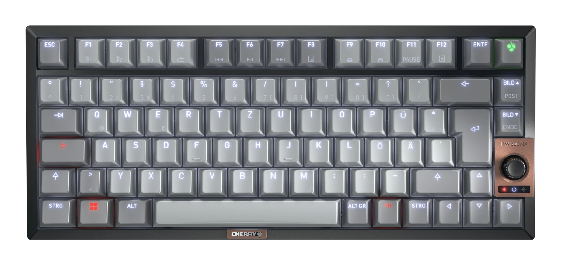 CHERRY KW 300 MX tastatūra USB