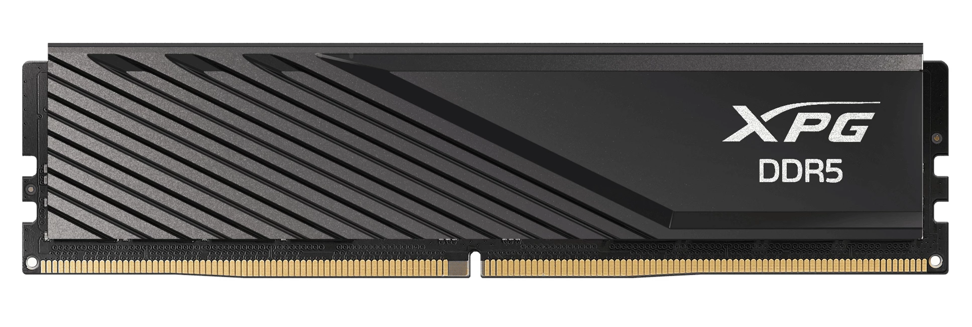 DIMM 16 GB DDR5-5600 , Arbeitsspeicher schwarz