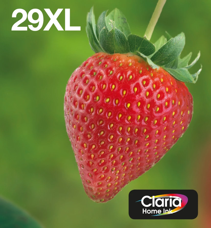 Epson Strawberry 29XL EasyMail multipaka 4