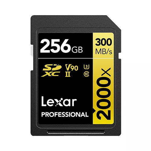 Atmiņas karte Lexar 256GB SDXC Class