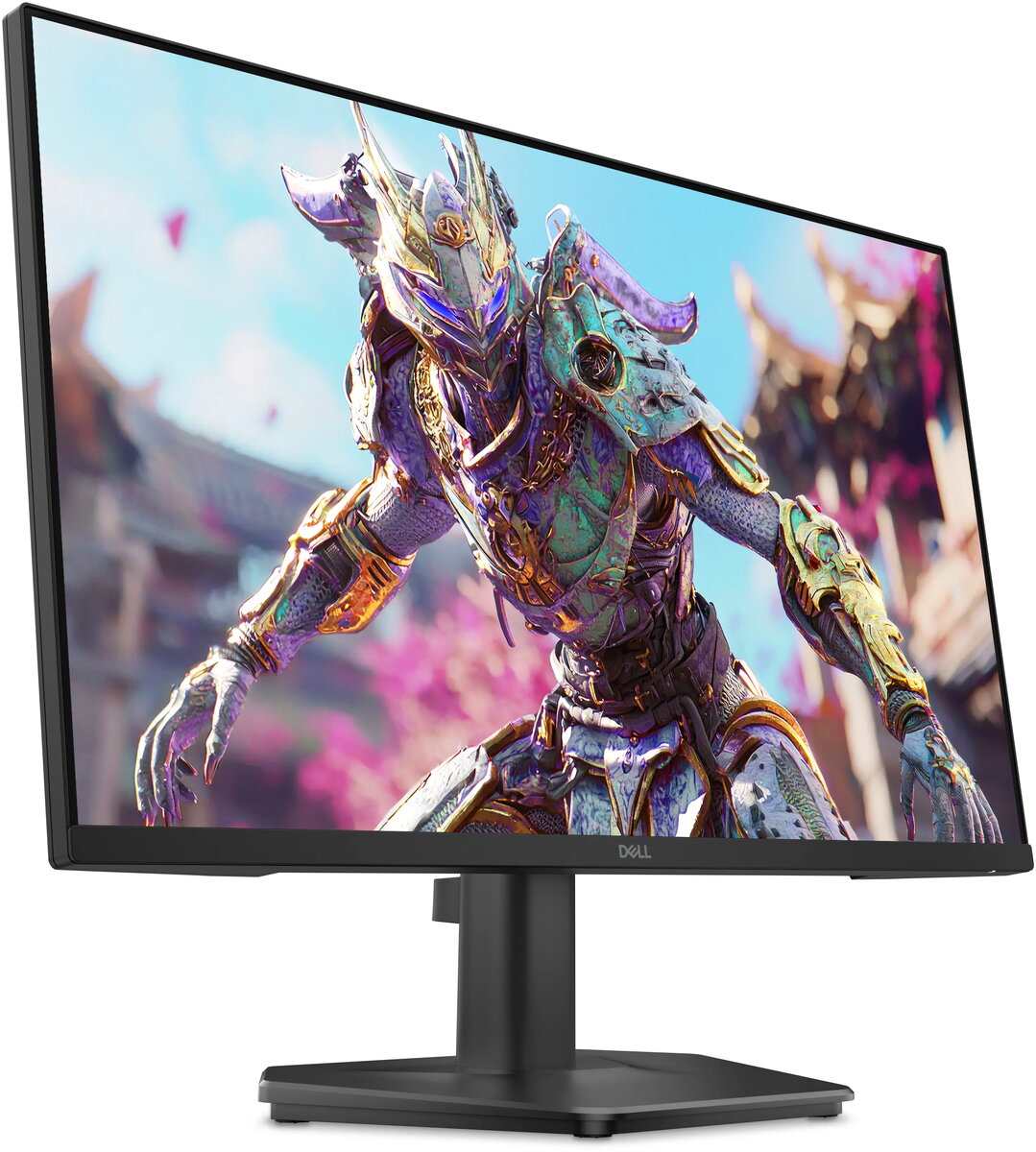 Dell SE2426HG 23,8 collu (60