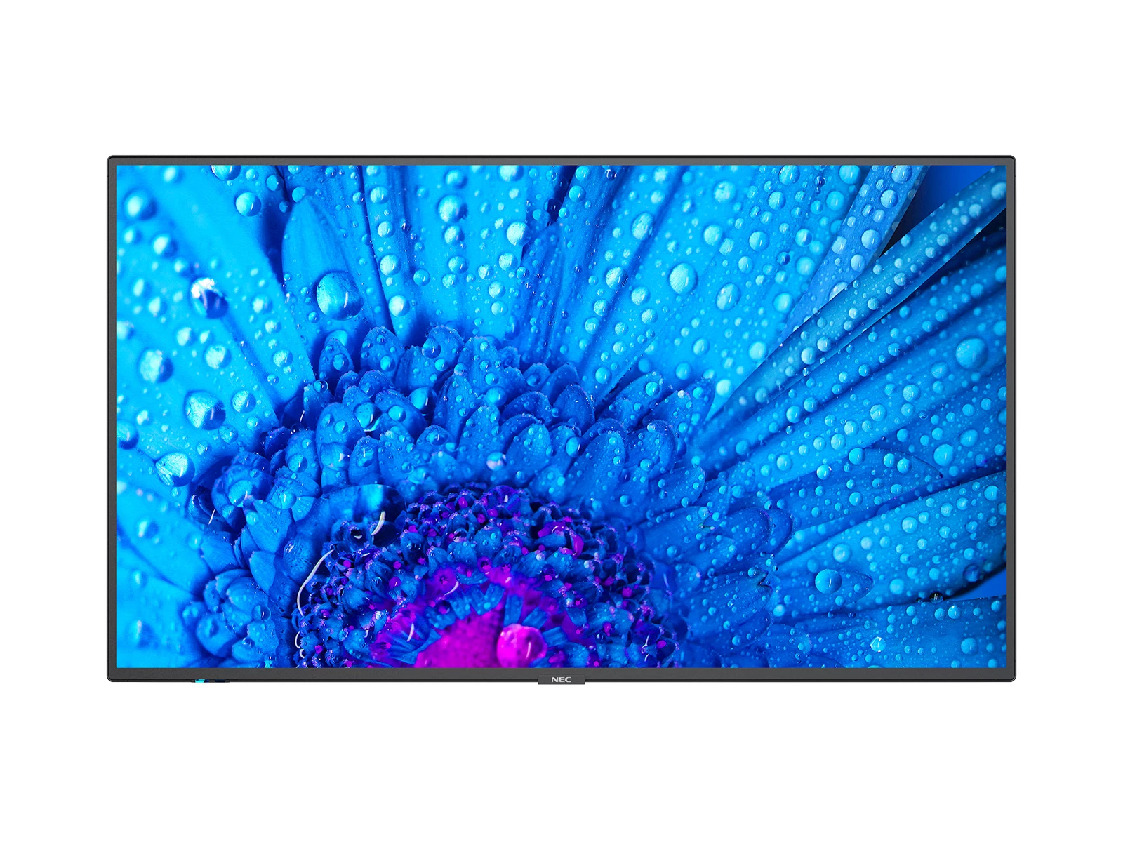 NEC MultiSync M491 digitālās izkārtnes plakanais