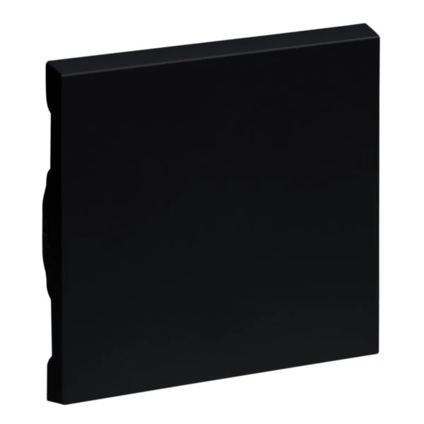 Legrand 765306 sienas plāksne/slēdža rāmis melns
