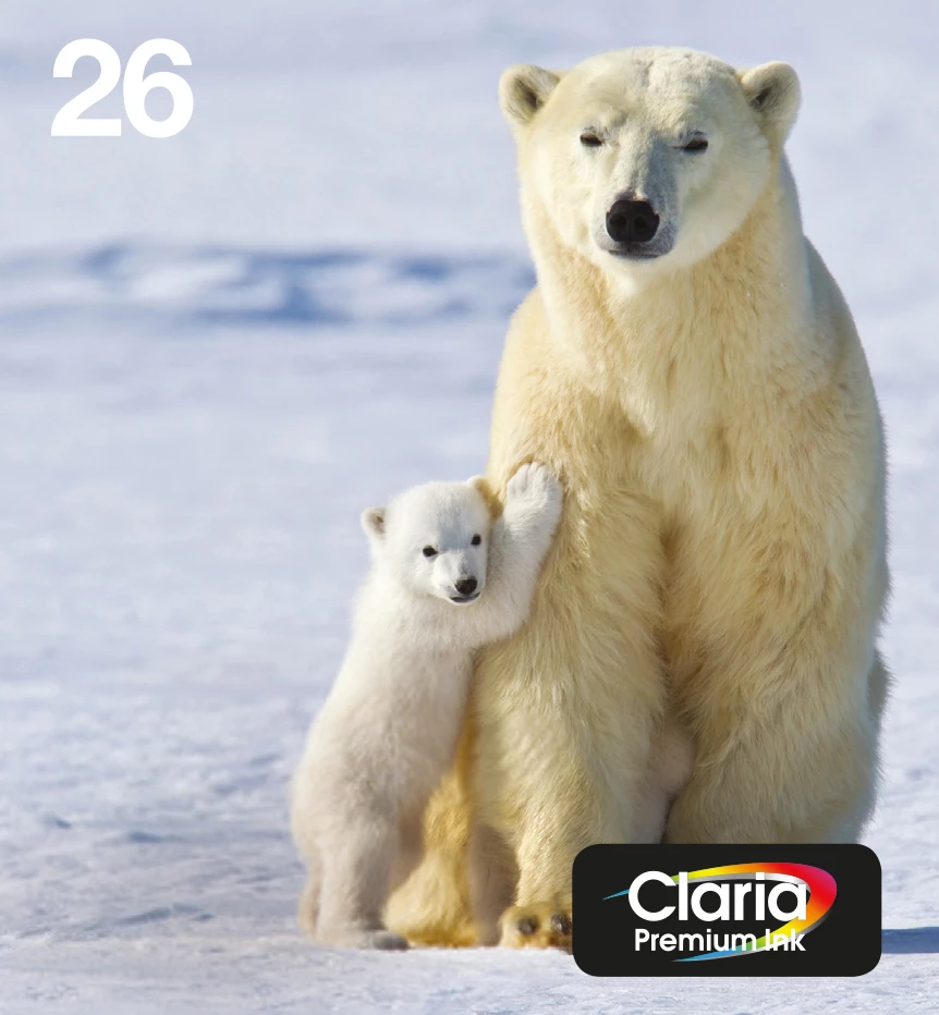 Epson Polar bear Multipack 4 krāsas