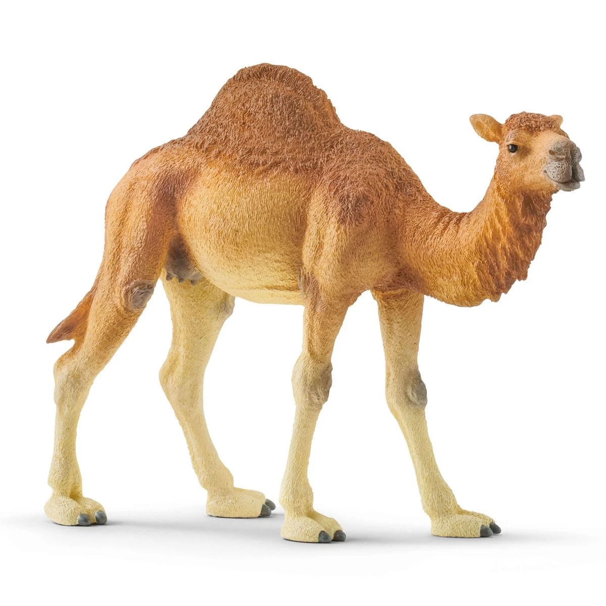 Schleich WILD LIFE Dromedārs