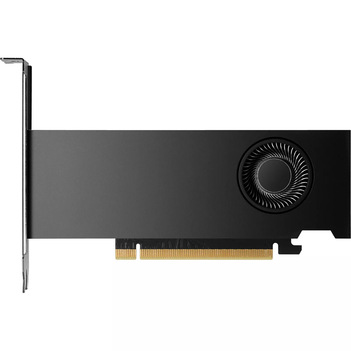 HP NVIDIA RTX 2000 Ada 16GB