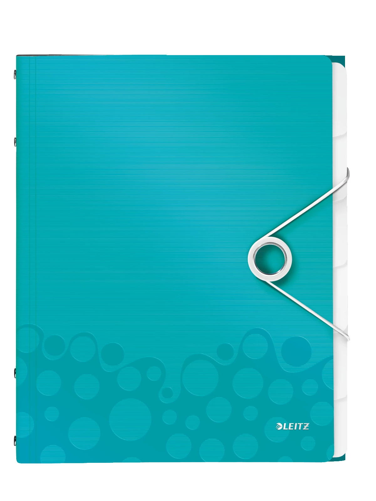 Leitz Divider Book WOW PP 6