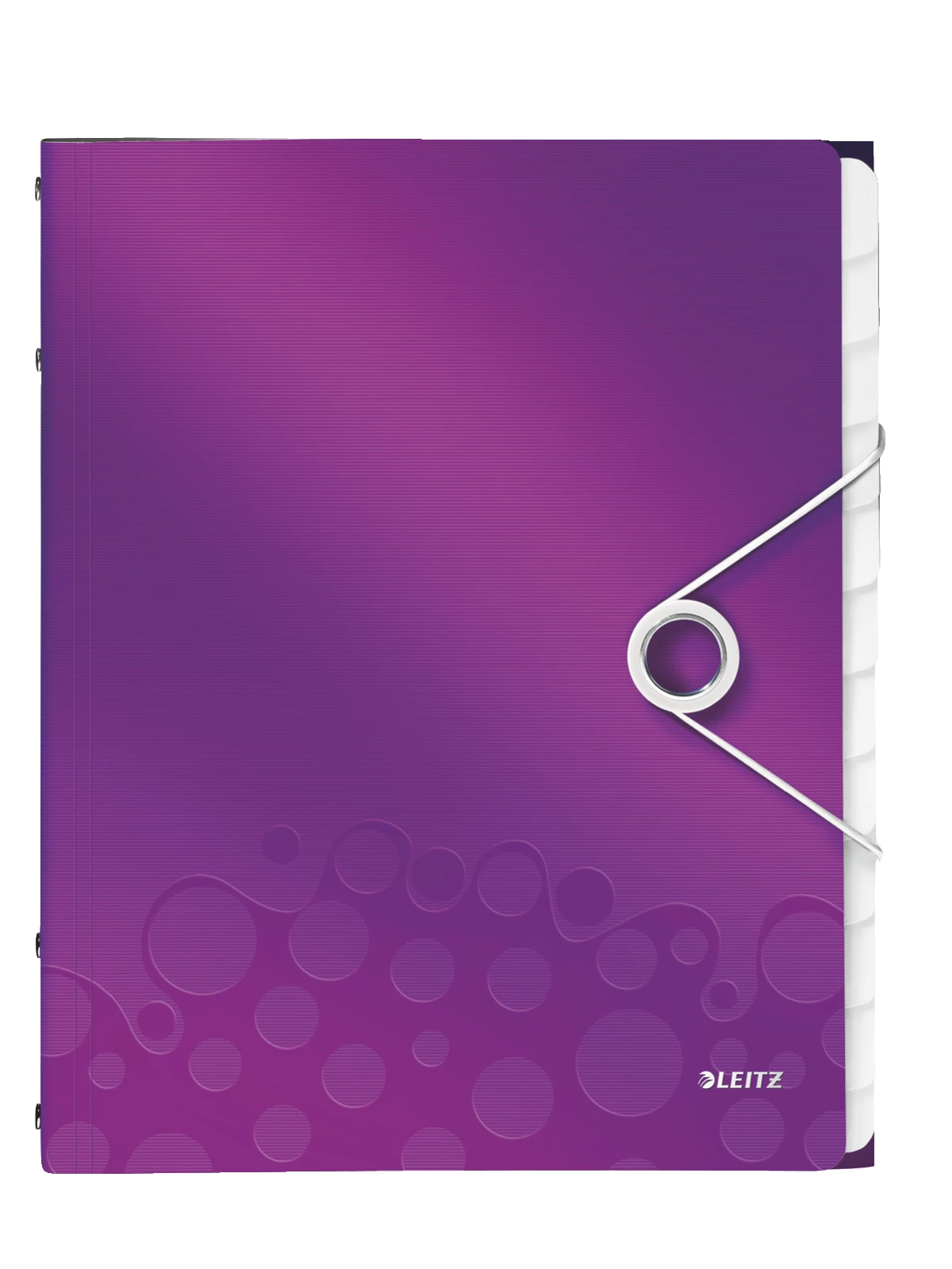 Leitz Divider Book WOW PP 12