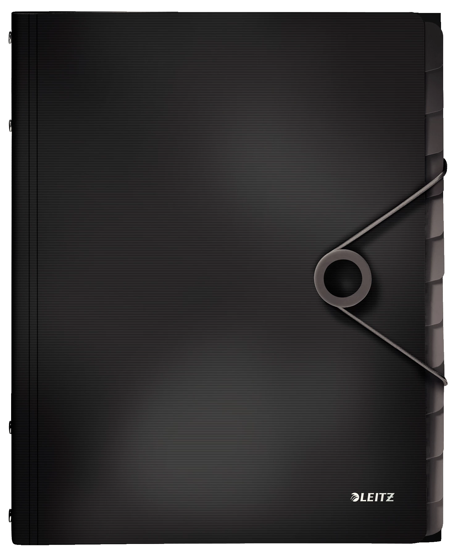 Leitz Divider Book Solid 12 cilnes