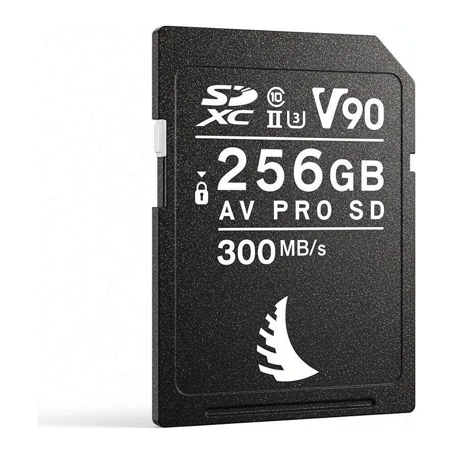 SD Card AV PRO UHS-II 256GB