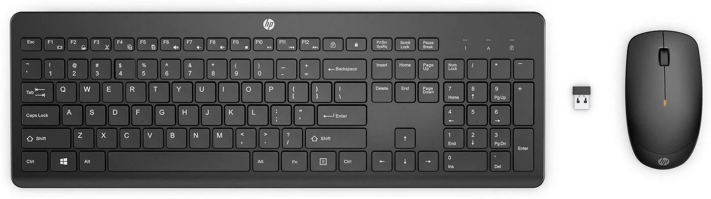 Bezvadu peles un pilna izmēra tastatūras