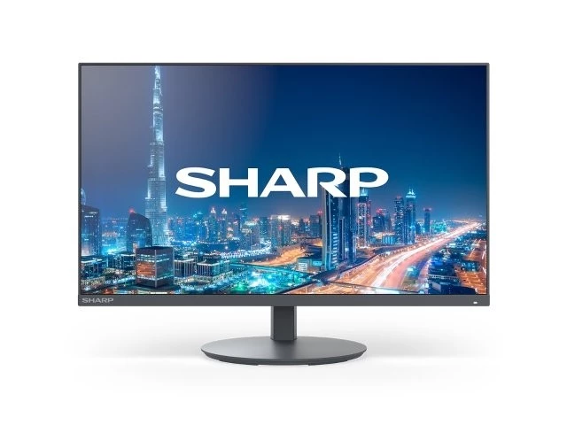 Sharp MultiSync DD-E224F 21,5 inch