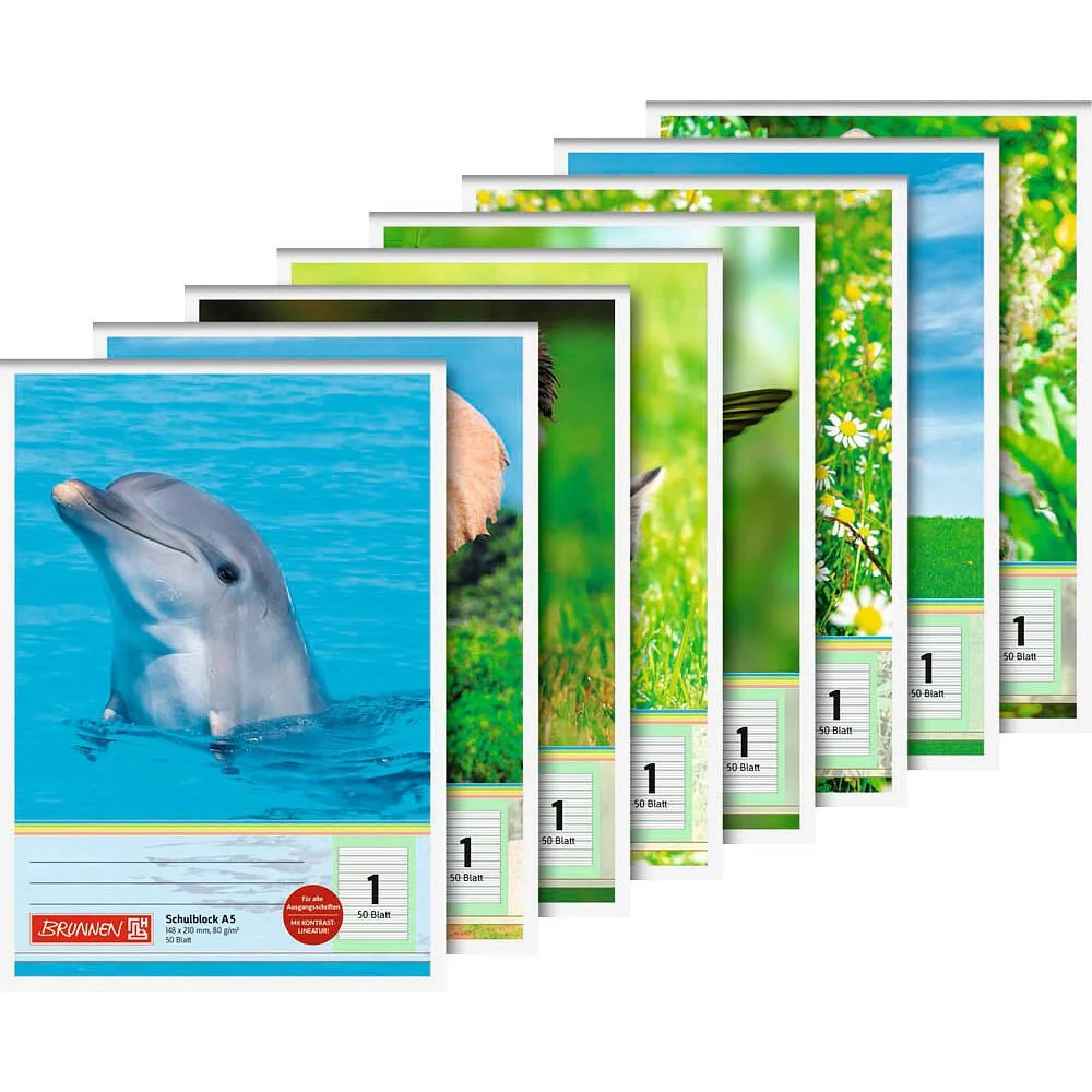 BRUNNEN College Notebook Lineatur 1 11