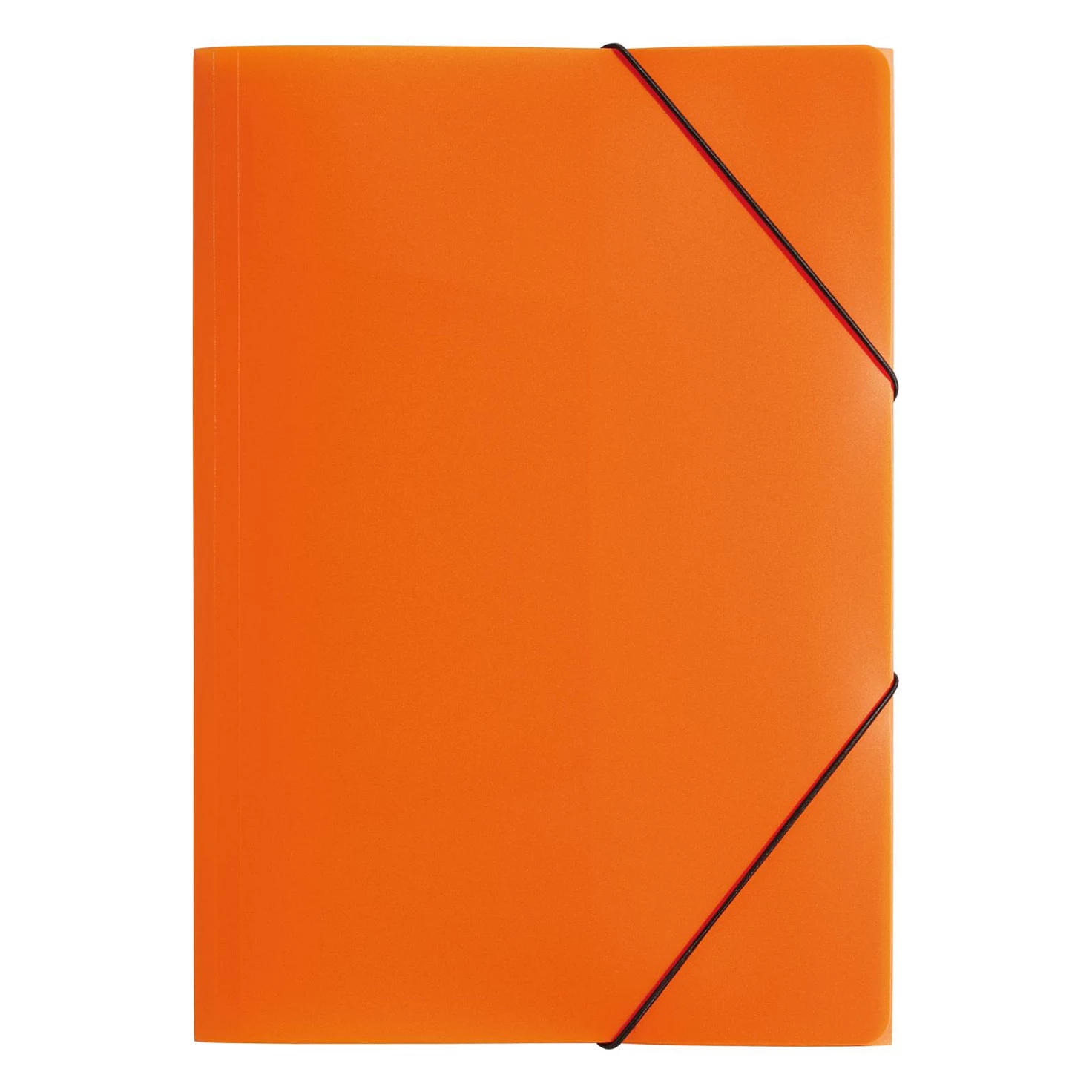 PAGNA Elastic Band Document Folder A3