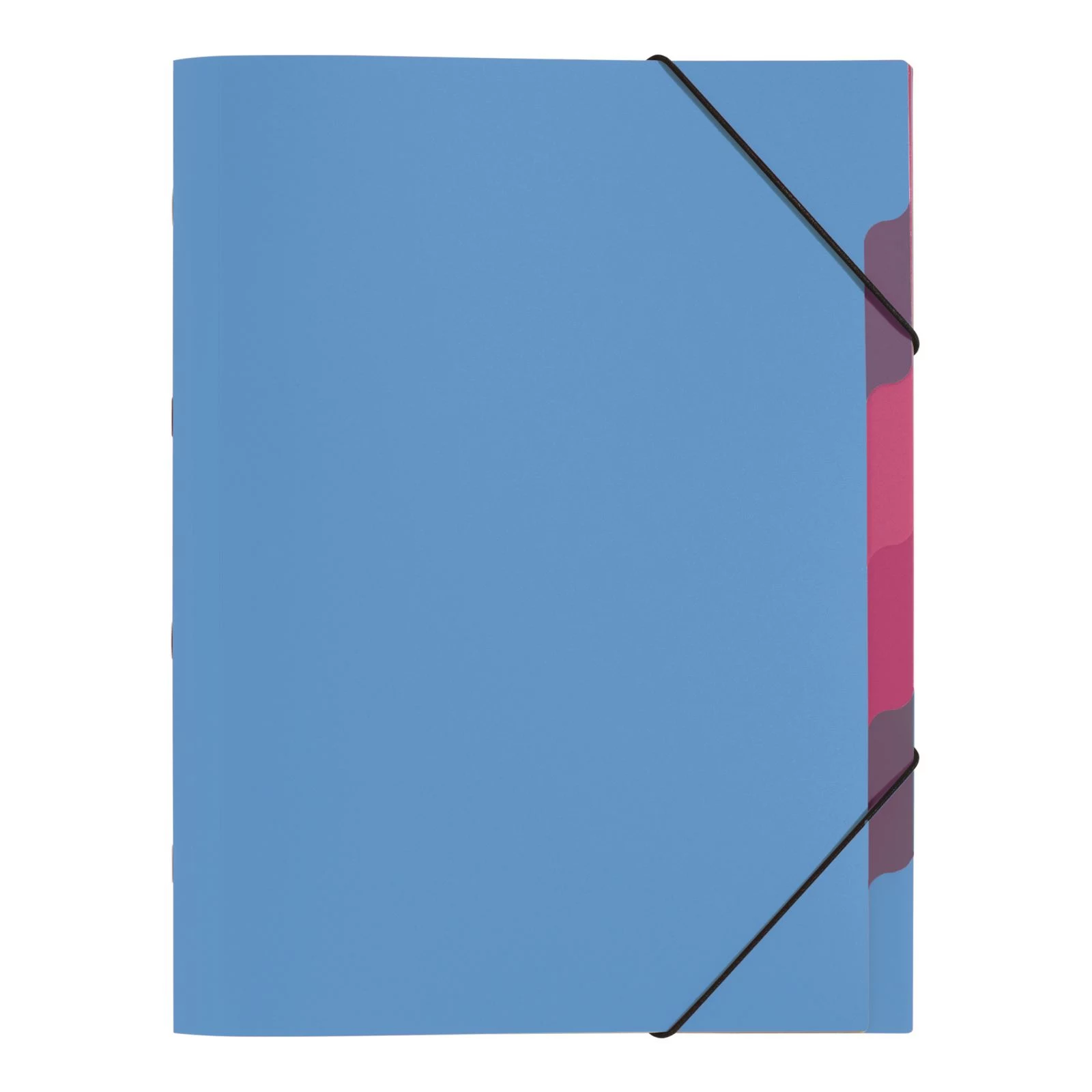 PAGNA Document Folder A4 Polypropylene Blue