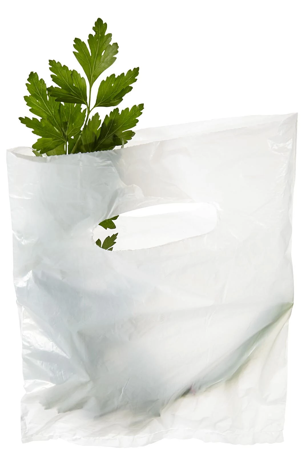 Vereinigte Papierwarenfabriken 2000 White Paper Carrier
