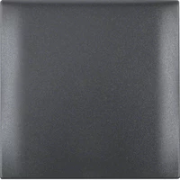 Berker 1-Gang Frame with Hinged Lid