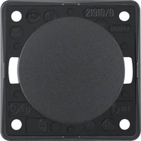 Berker Rocker Push-button Anthracite with Screw