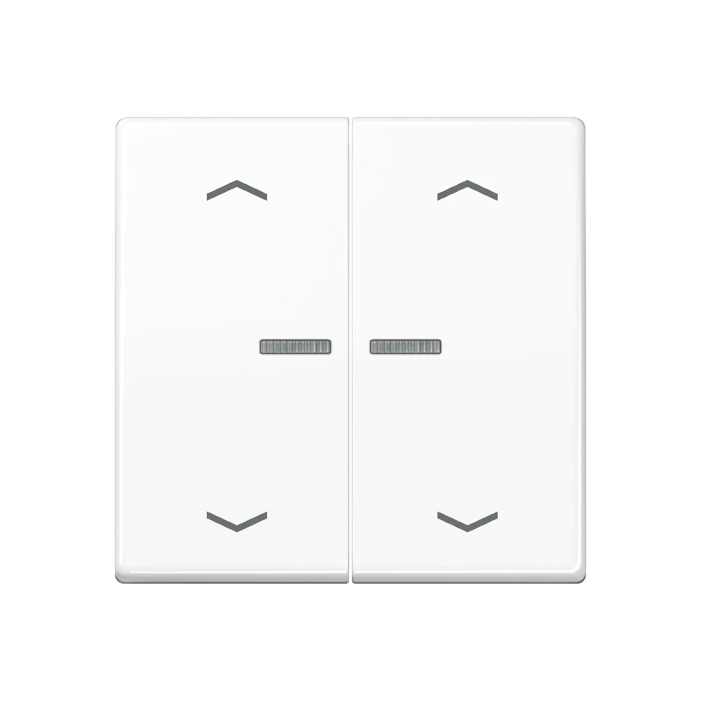 JUNG Home Push-button 2-gang Bluetooth AS