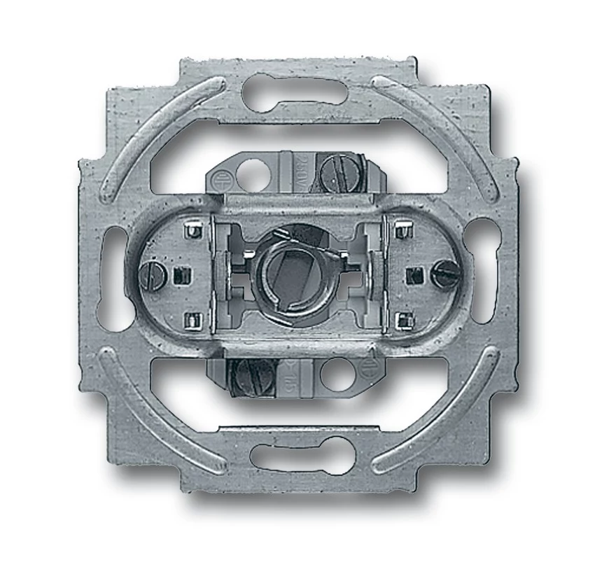 Busch-Jaeger 2661 U Central Plate Metallic