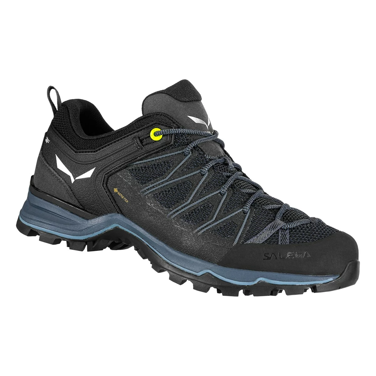 Salewa Mountain Trainer Lite GTX Hiking