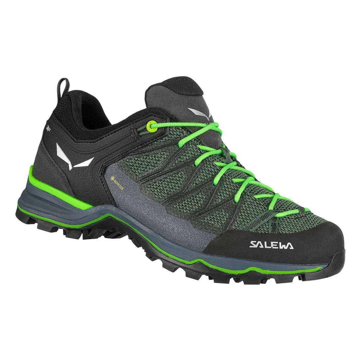 Salewa Mountain Trainer Lite GTX Hiking