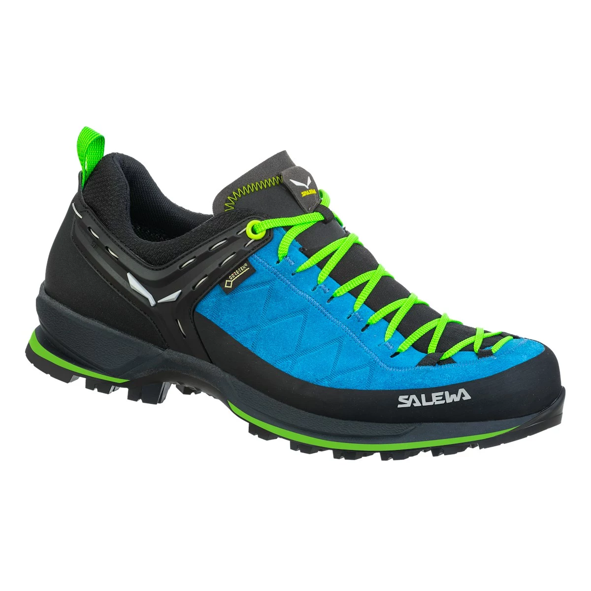 Salewa Mountain Trainer 2 GTX Trekking