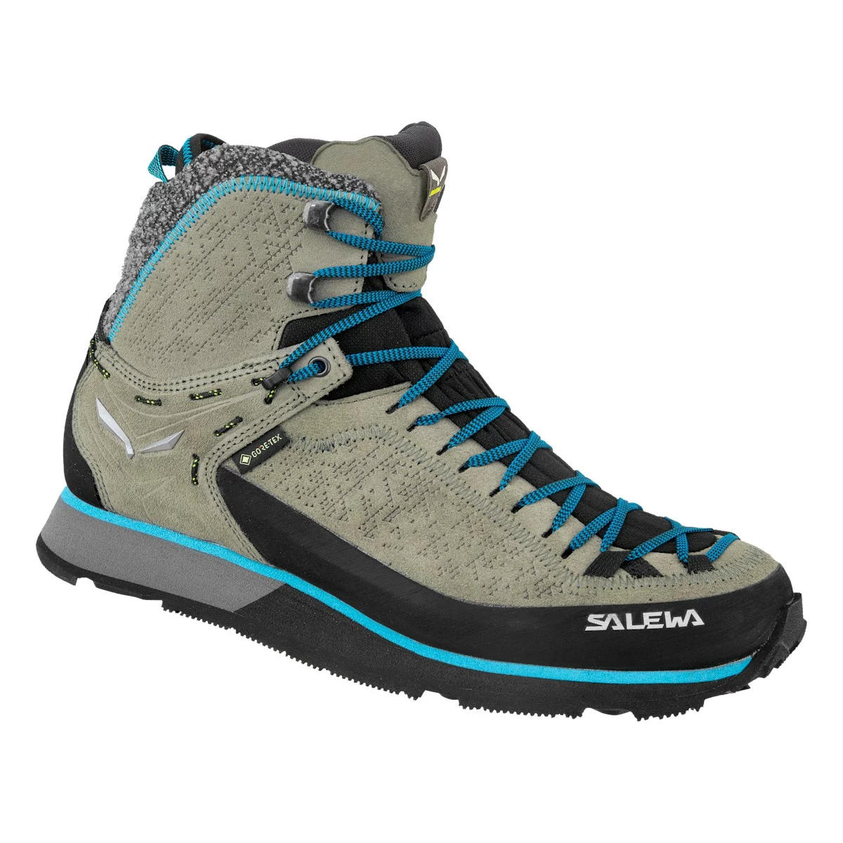 SALEWA Shoes Mtn Trainer 2 Winter