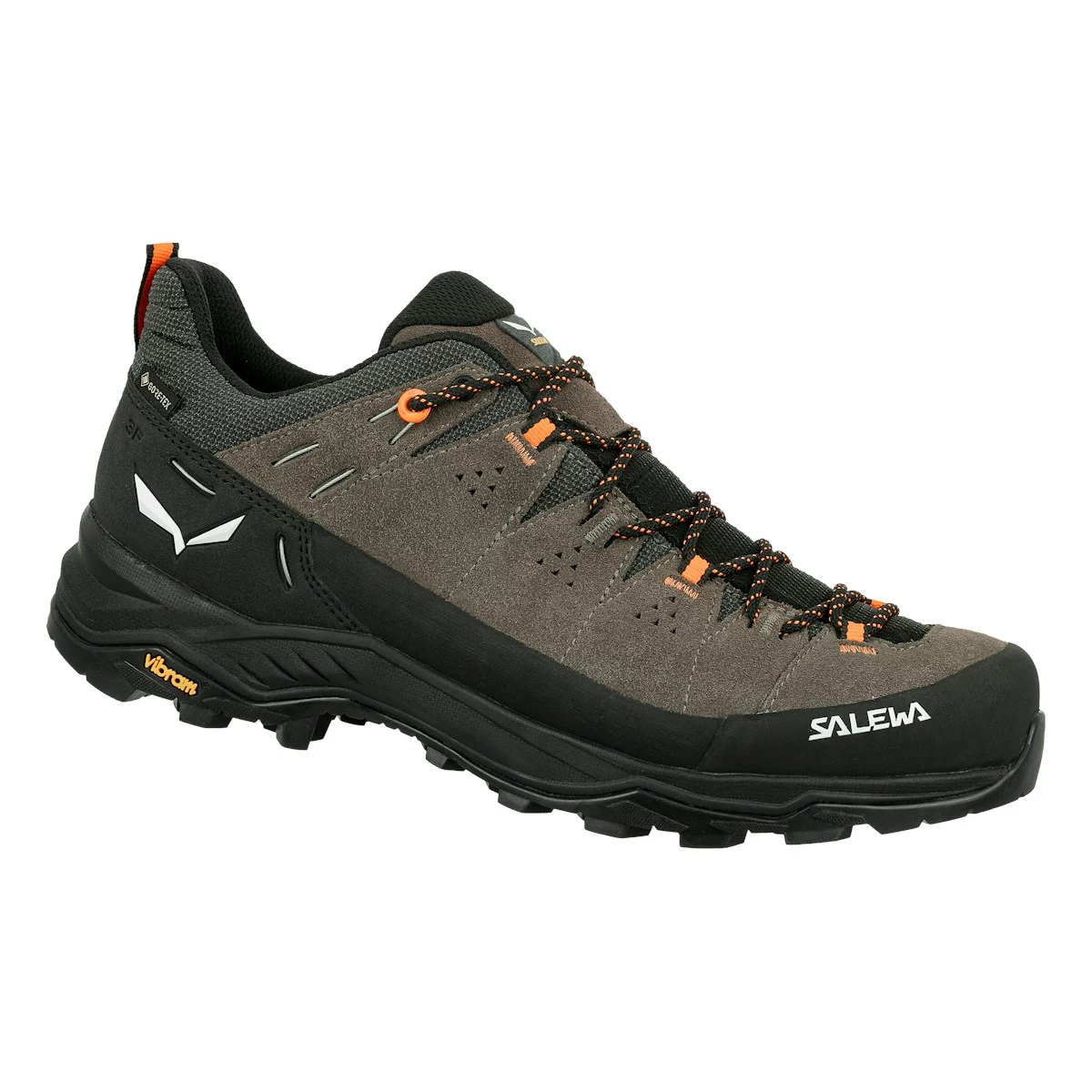 SALEWA Alp Trainer 2 GTX Hiking