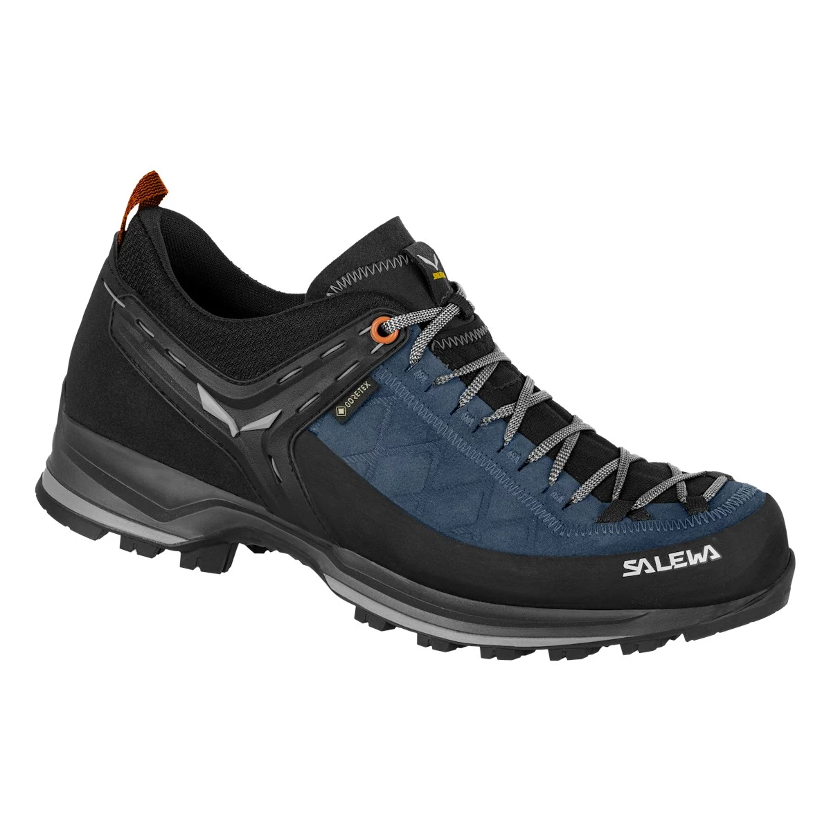 Salewa MTN Trainer 2 GTX Approach
