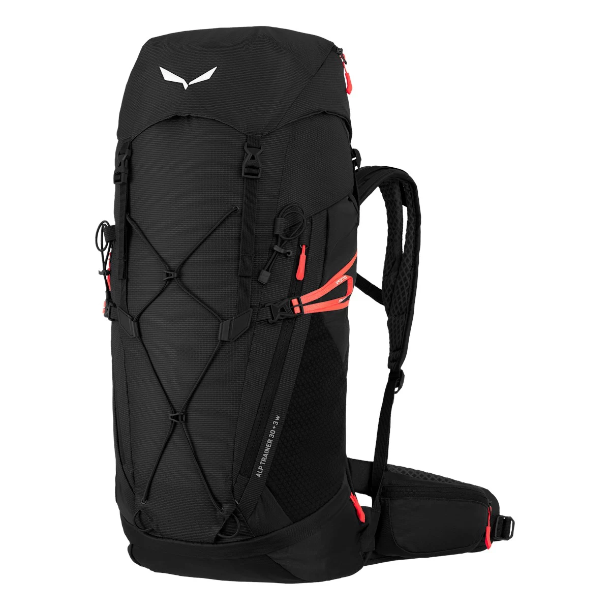 SALEWA Alp Trainer Mugursoma 25 L