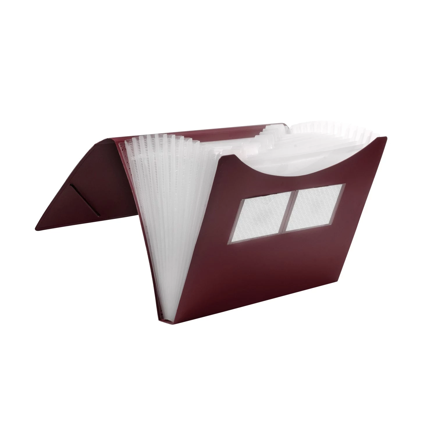 FolderSys Expanding File Folder 12 Compartments