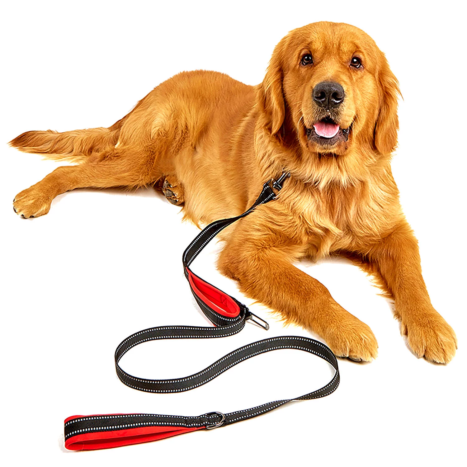 MOZOS DL5M Premium Training Leash 5m