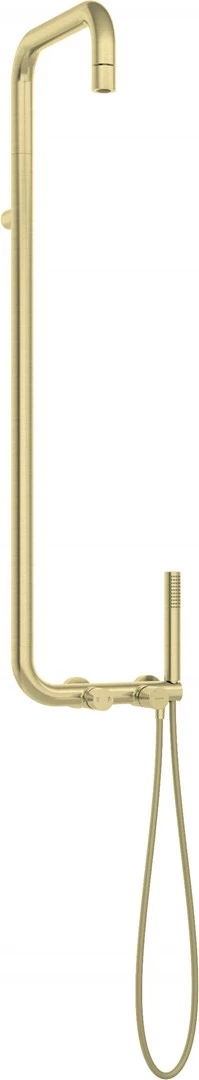 DEANTE Shower Head with Shower Mixer