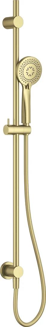 DEANTE Neo 3-Function Shower Set with