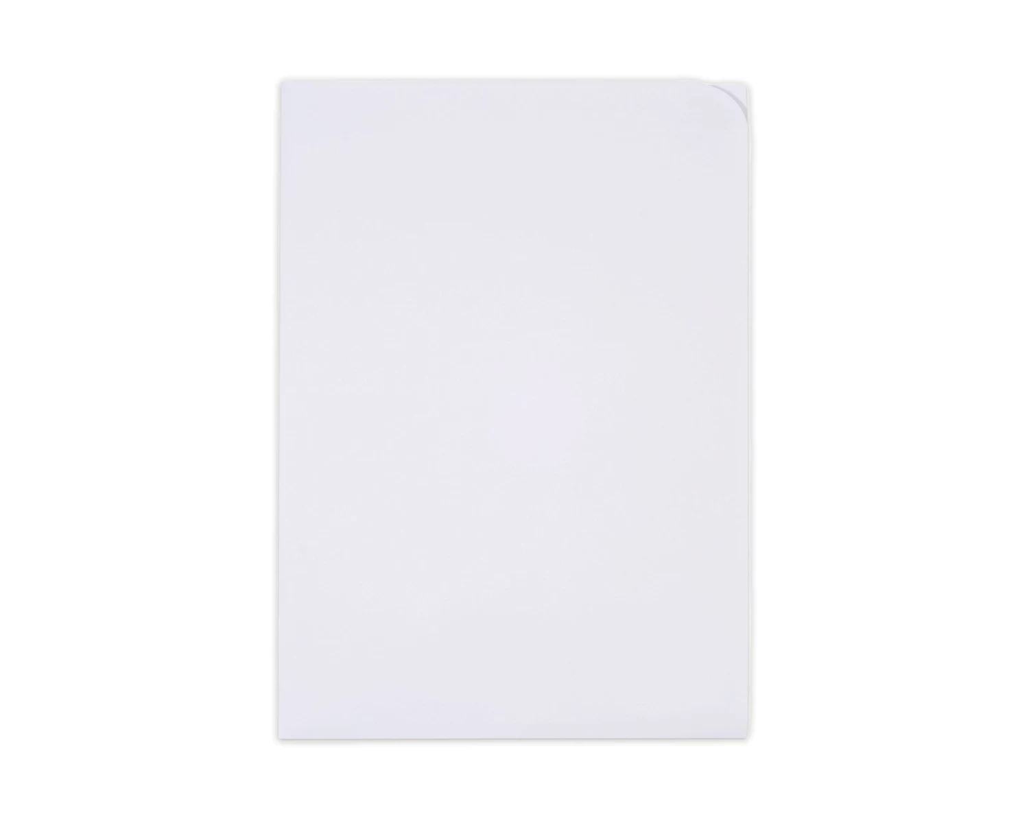Elco 100 Document Sleeves Ordo discreta