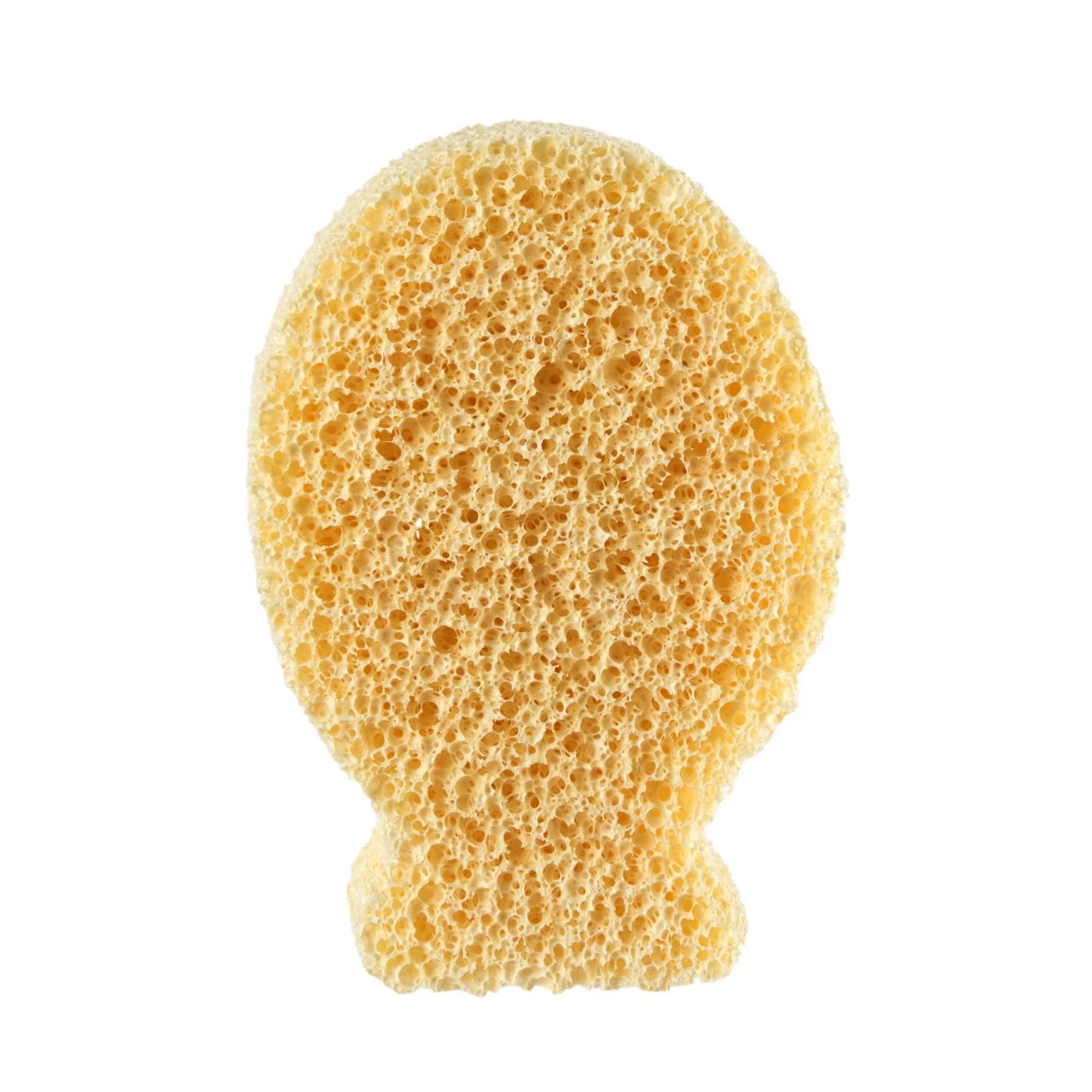 CHICCO Silver Ion Sponge Fish