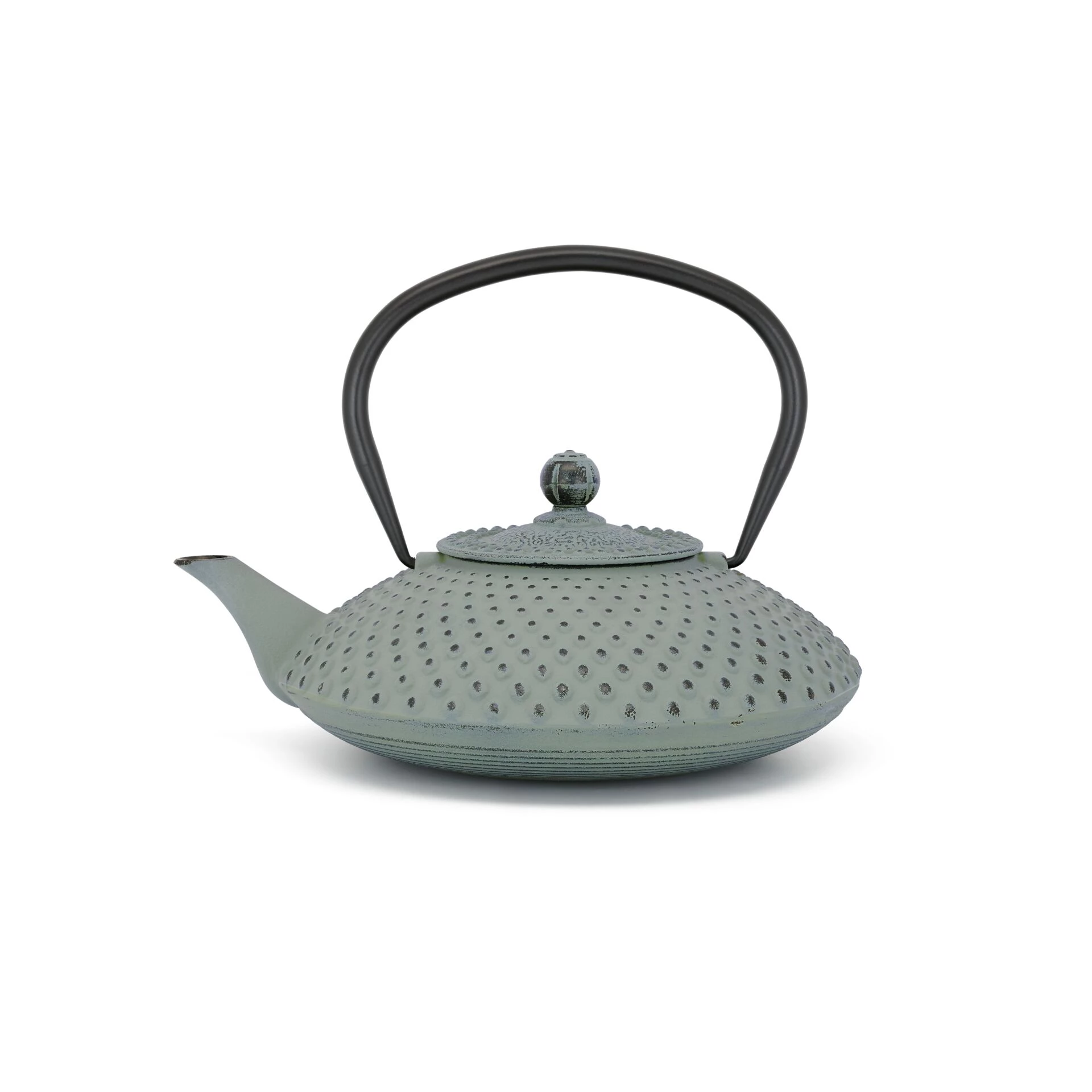 Bredemeijer Xilin Cast Iron Teapot 1