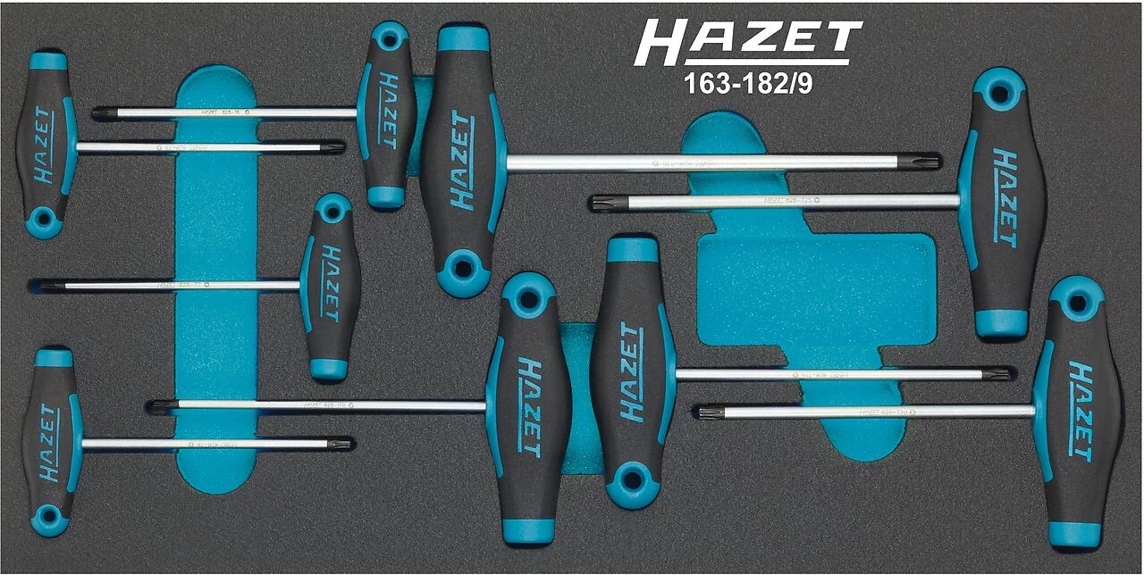 HAZET 163-182/9 Darbnīcas skrūvgriežu komplekts iekšējiem