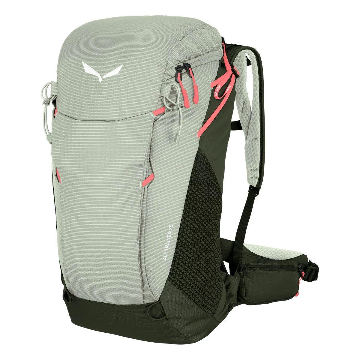 Salewa Alp Trainer 25 mugursoma Shadow/Dark